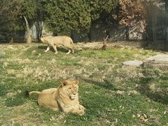 -西安秦岭野生动物园