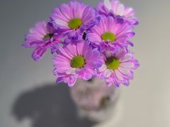 -云腾食府·云南菜