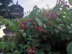 -乌山风景区