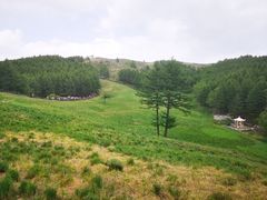 -驼梁风景区