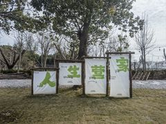 -不觉晓CAMPING(上海迪士尼营地店)