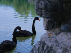 -洛阳市隋唐城遗址植物园