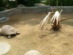 -白洋淀景区