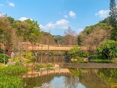 -云溪植物园