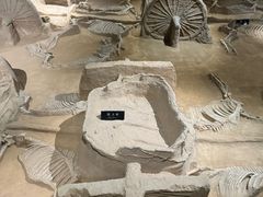 -洛阳周王城天子驾六博物馆