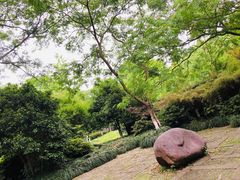 -走马楼饭庄(慈城古县城店)