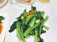 拍蒜虾米炒菜心-稻香酒家(天河城店)