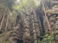 -梭布垭石林景区