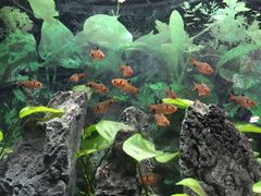 -南昌海洋公园