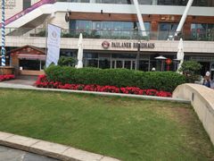 -Paulaner·德国帕拉娜自酿啤酒餐厅(海上世界店)