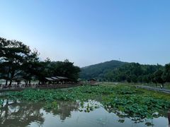 -仙水洋