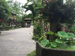 -青城甲(青城山店)