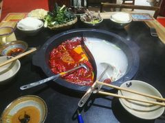 -渝大龙重庆火锅(温泉月亮湾店)