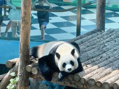 -大连森林动物园