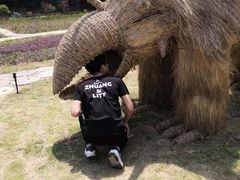 -千年银杏谷文化旅游区