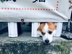 -小梁哥云吞面(黄贝岭店)