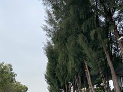 -宝安西湾红树林湿地公园