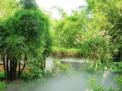 -广州兰圃