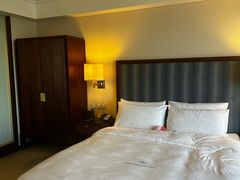 -惠州康帝国际酒店