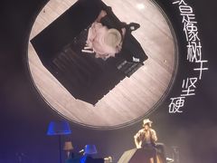 -华润深圳湾体育中心-“春茧” 体育馆