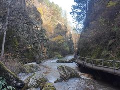 -茅兰沟国家森林公园