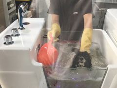 -1013 PET SHOP 宠物商店(近铁城市广场店)