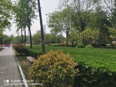 -唐城墙遗址公园
