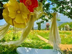 -名花谷生态庄园