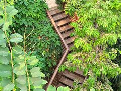 -郑州植物园