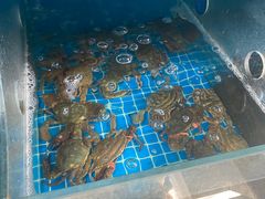 -宾朋海鲜饭庄(兴海路店)