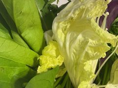 -爆棚肥牛火锅(原福成肥牛城味之缘三里河店)