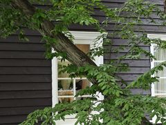 -三鹰之森吉卜力美术馆