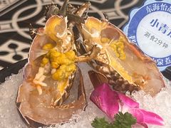 -东海怡品海鲜豆捞(舟宿夜江店)