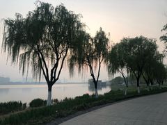 -江阴敔山湖公园