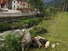 -硗碛藏寨·神木垒景区