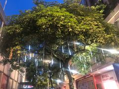 -星巴克臻选(中山石岐大信新都汇店)