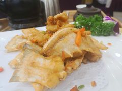 -寻味顺德·南记酒家·传统顺德菜·鱼生(广源路店)