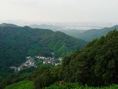 -龙井村