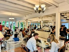 -Fern Forest Cafe