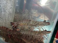 -崖口煲仔饭