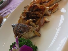 -欢乐海岸美食联盟