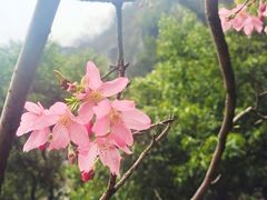 -南溪山景区