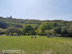 -苏州上方山国家森林公园