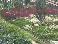 -邛海景风火盆烧烤(大石板古村二分店)