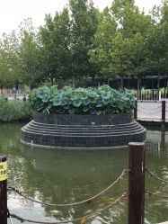 -大望京儿童游乐场