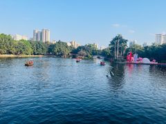 -荔湾湖公园