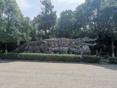 -中国扬子鳄村