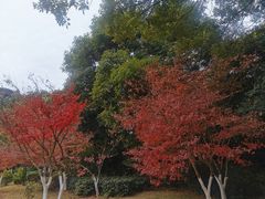 -金山公园