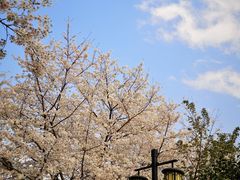-苏州上方山国家森林公园