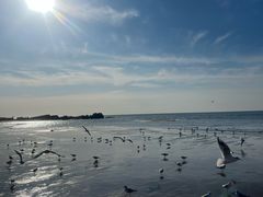 -老虎石海上公园